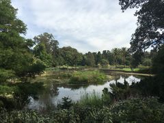 -墨尔本皇家植物园