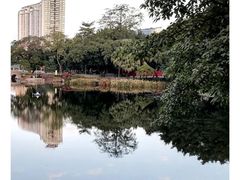 -荔湾湖公园