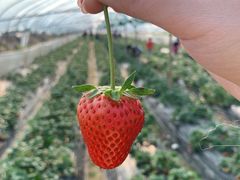 -悦硒楼·新派恩施菜