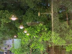 -重庆火锅水库鱼庄(南油店)