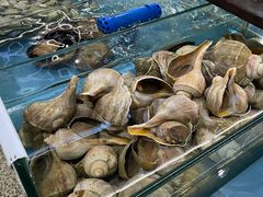 -达叔香味海鲜(海棠68环球美食街店)
