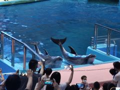 -福州罗源湾海洋世界旅游区