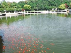 -大连植物园