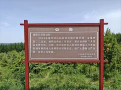 -塞罕坝国家级自然保护区