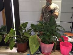 -RoMan罗马健身工作室(莘庄店)