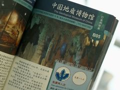 -中国地质博物馆