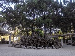 -叶家花园