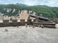 -白帝城·瞿塘峡景区