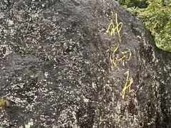 -台州府城(江南长城)