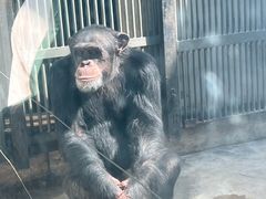 -石家庄市动物园