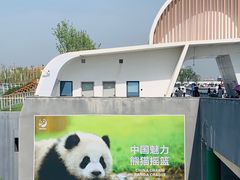 -成都大熊猫繁育研究基地