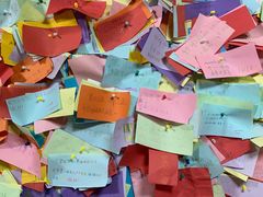 -志龙皇冠吃货椰子铺