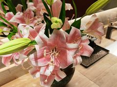 -鸽子侯·家宴·平价海鲜(绿地店)