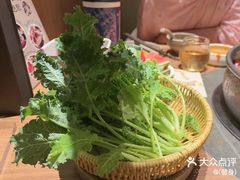 -巴奴毛肚火锅(七宝领展广场店)