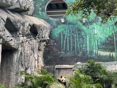-石排湾郊野公园