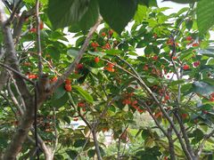 -崂山风景区-大河东游客中心