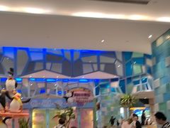 -帝企鹅自助餐厅•儿童岛•真企鹅(长隆企鹅酒店)