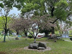 -七宝老街-闵行市民文化广场