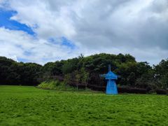 -广州市流溪河国家森林公园