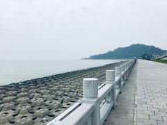 -野狸岛