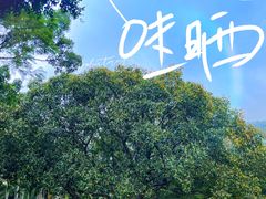 -深圳仙湖植物园