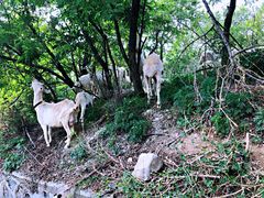 -鬼笑石后山停车场