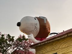 -史努比缤纷世界