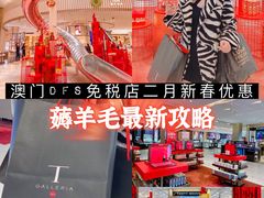 -DFS迪斐世(澳门新濠天地店)