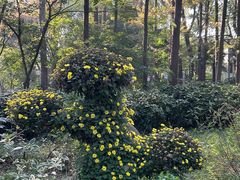 -共青国家森林公园-售票处