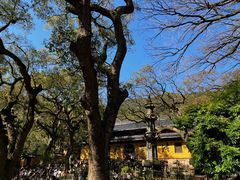 -普陀山风景名胜区-法雨禅寺