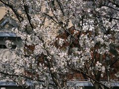 -徐家汇源景区-衡山公园