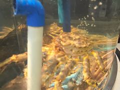 -乐在集市海鲜大排档(平潭店)