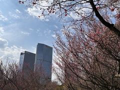 -白塘生态植物园