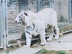 -黔灵山公园