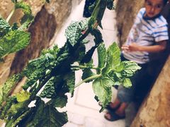 -穆莱拉赫制革厂