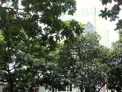 -广西壮族自治区博物馆