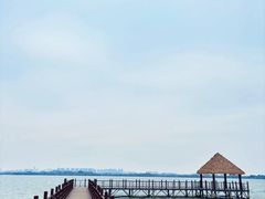 -瑶湖湿地自然保护区