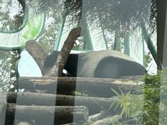 -武汉动物园