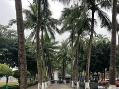 -万绿园