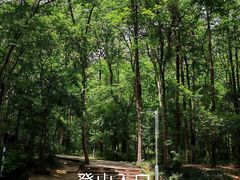 -紫金山山顶公园