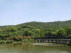 -石塘人家