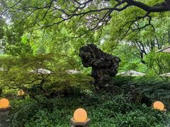 -申粤轩酒楼·三十年粤菜经典(丁香花园店)