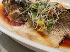 -卓正国际酒店·膳衡食府