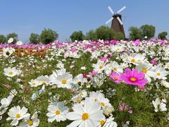 -漩门湾国家湿地公园