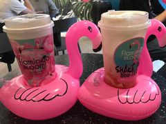 -Flamingo Bloom(TST /尖沙咀店)