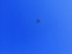 -空港花田景区