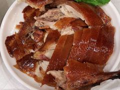 -东门烤鸭店(东华门店)
