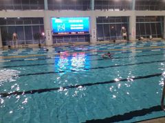 -小海豚国际游泳培训中心(浦东源深体育中心店)