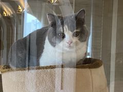 -Me Coffee下午茶艺术空间