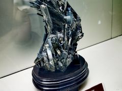 -甘肃地质博物馆